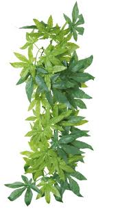 Растение Abutilon, 20х30 см, шелк