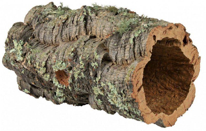 Кора пробкового дерева X, 10-15 см