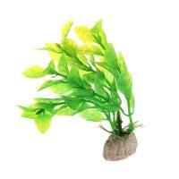 Людвигия салатовая 20 см