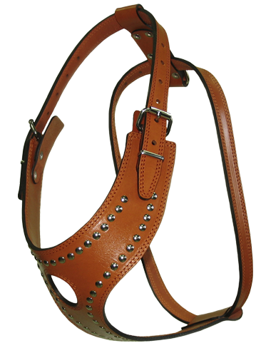 Шлейка НРР азиат