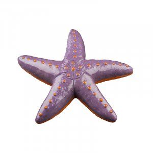 Морская звезда Tetra GloFich
