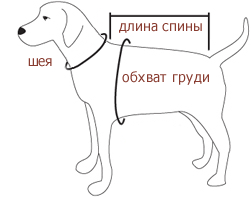 Таблица размеров одежды для собак "For my dogs"