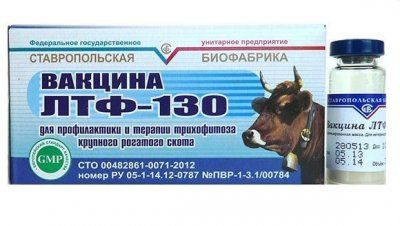 Вакцина ЛТФ 
