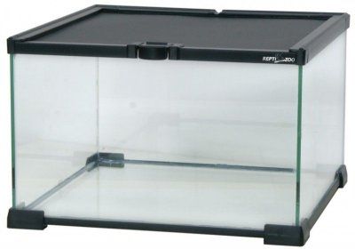 АК04В Мини-террариум 31*31*20см