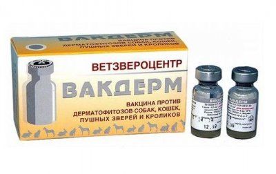 Вакцина Вакдерм 1 доза