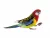 depositphotos_233572032-stock-photo-parrot-rosella-parrot-with-almond