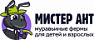 Мистер Ант