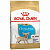 Корм для щенков Royal Canin Chihuahua Puppy Роял Канин для породы чихуахуа 500 г сух. пакет