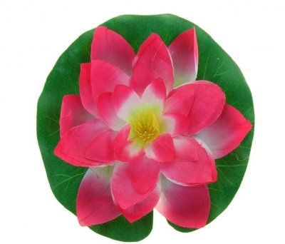 Водяная лилия ALEAS размер L