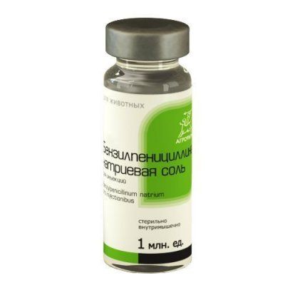 Бензилпенициллин