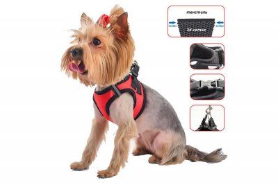 Шлейка  Zoo-M КАЙ XS 18-23 см