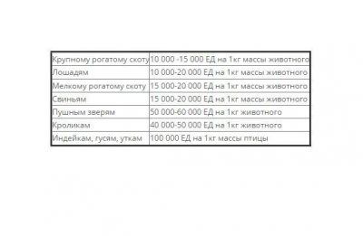 ветбицин - 5