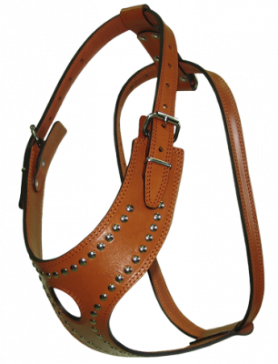 Шлейка НРР азиат