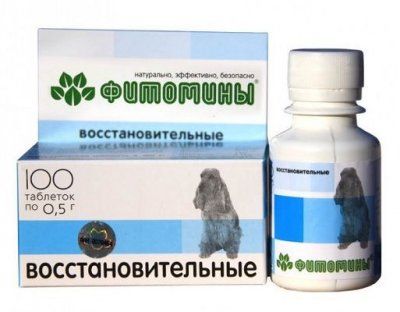 Фитомины д/с восстановительные 100таб