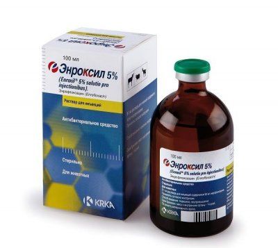 Энроксил 5% (энрофлоксацин) 100мл