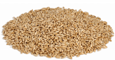 Рио Канареечное семя 1кг