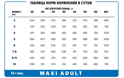 макс юниор