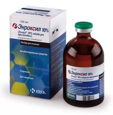 Энроксил 10% 100мл