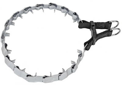 8f9d37d8_6a68_11ef_b6ca_93777b2d2d71_e5c17f89_7294_11f0_b6ce_bee64cdb4b21